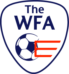 Powerchair Football